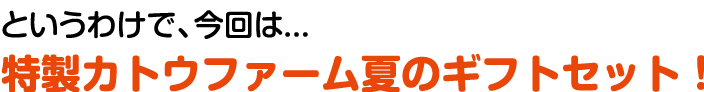 というわけで、今回は...特製カトウファーム夏のギフトセット！