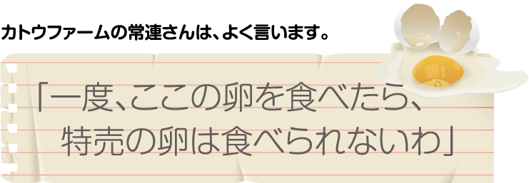 カトウファームの常連さんは、よく言います。「一度、ここの卵を食べたら、特売の卵は食べられないわ」