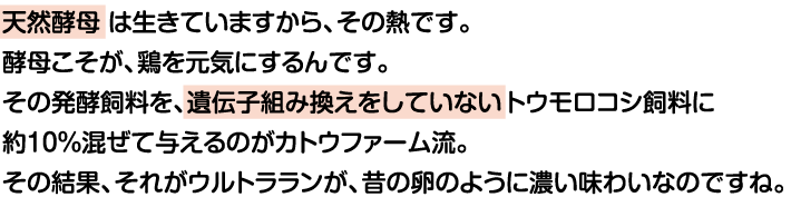 天然酵母はいきていますから、その熱です。酵母こそが、鶏を元気にするんです。その発酵飼料を、遺伝子組み換えをしていないトウモロコシ飼料に約10%混ぜて与えるのがカトウファーム流。その結果、それがウルトラランが、昔の卵のように濃い味わいなのですね。