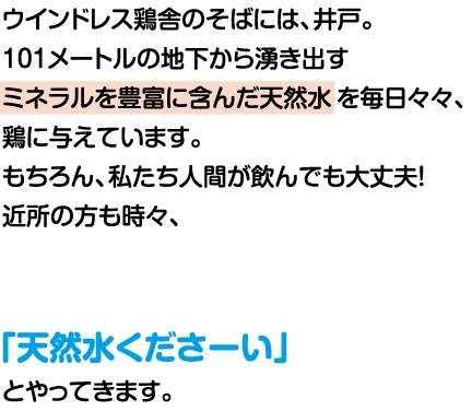 ウインドレス鶏舎のそざには、井戸。101メートルの地下から湧き出すミネラルを豊富に含んだ天然水を毎日、鶏に与えています。もちろん、私達人間が飲んでも大丈夫！近所の方も時々、「天然水くださーい」とやってきます。
