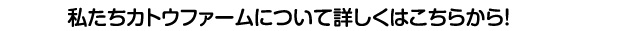 私たちカトウファームについて詳しくはこちらから！