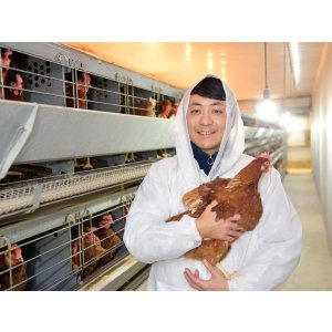 画像4: 酵母たまご 年定期購買　月1回30個入り（サイズフリー・送料別）