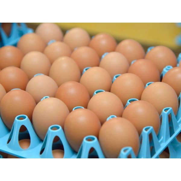 画像10: 酵母たまご50個入り（サイズフリー） (10)