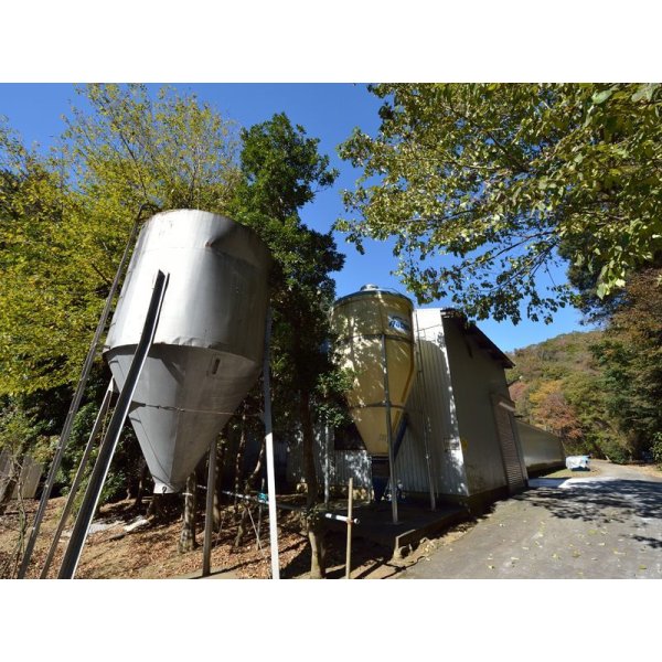 画像12: 酵母たまご50個入り（サイズフリー） (12)