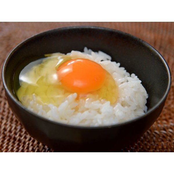 画像14: 酵母たまご50個入り（サイズフリー） (14)